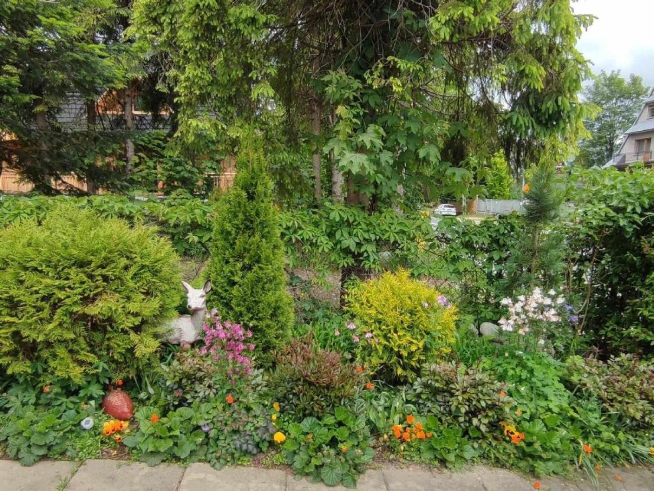 Dom Lesnik Homestay Zakopane