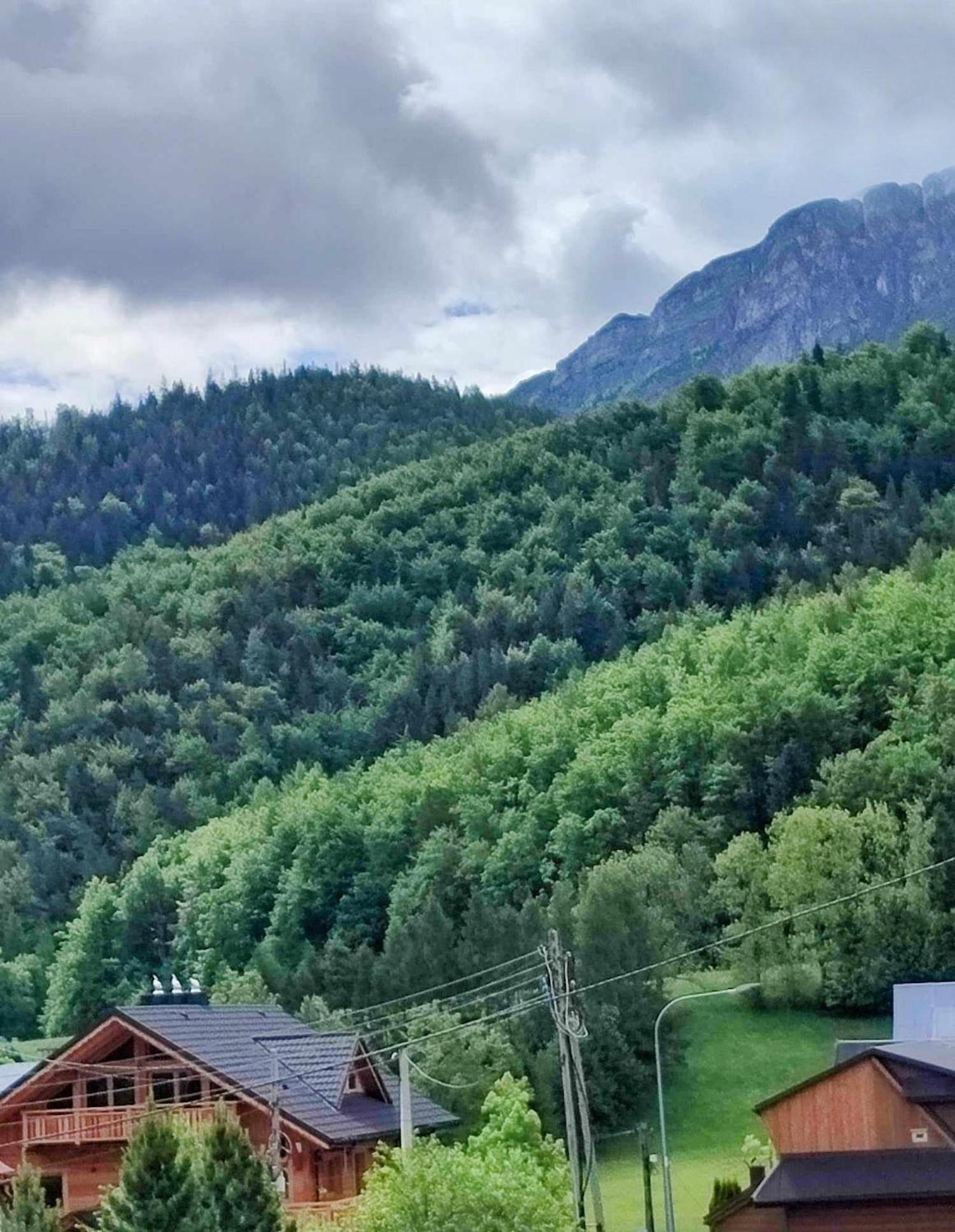 Dom Lesnik Zakopane