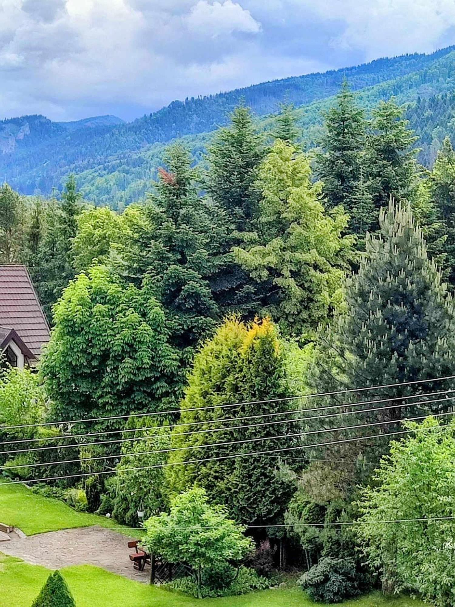 Homestay Dom Lesnik