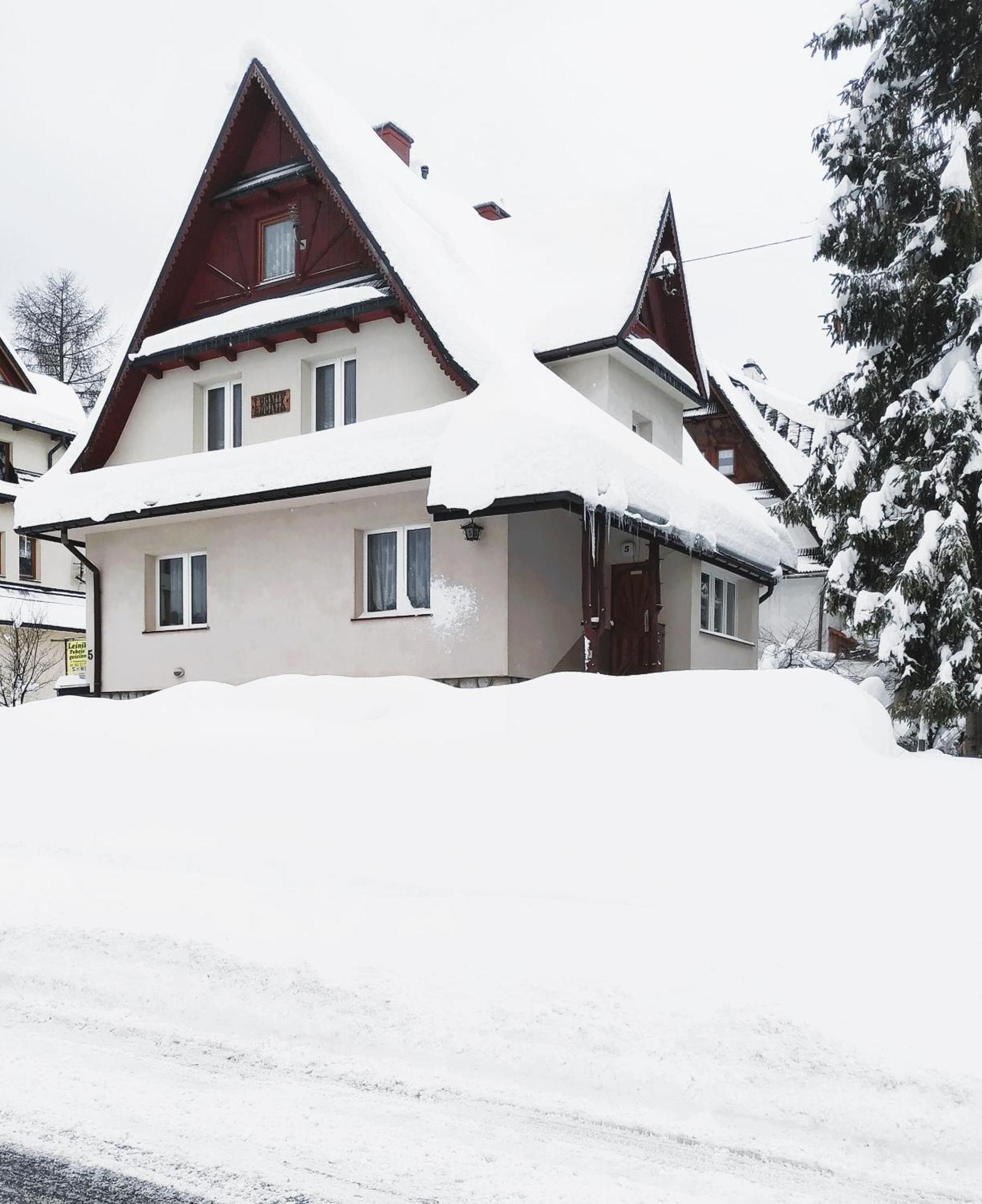 Dom Lesnik Zakopane