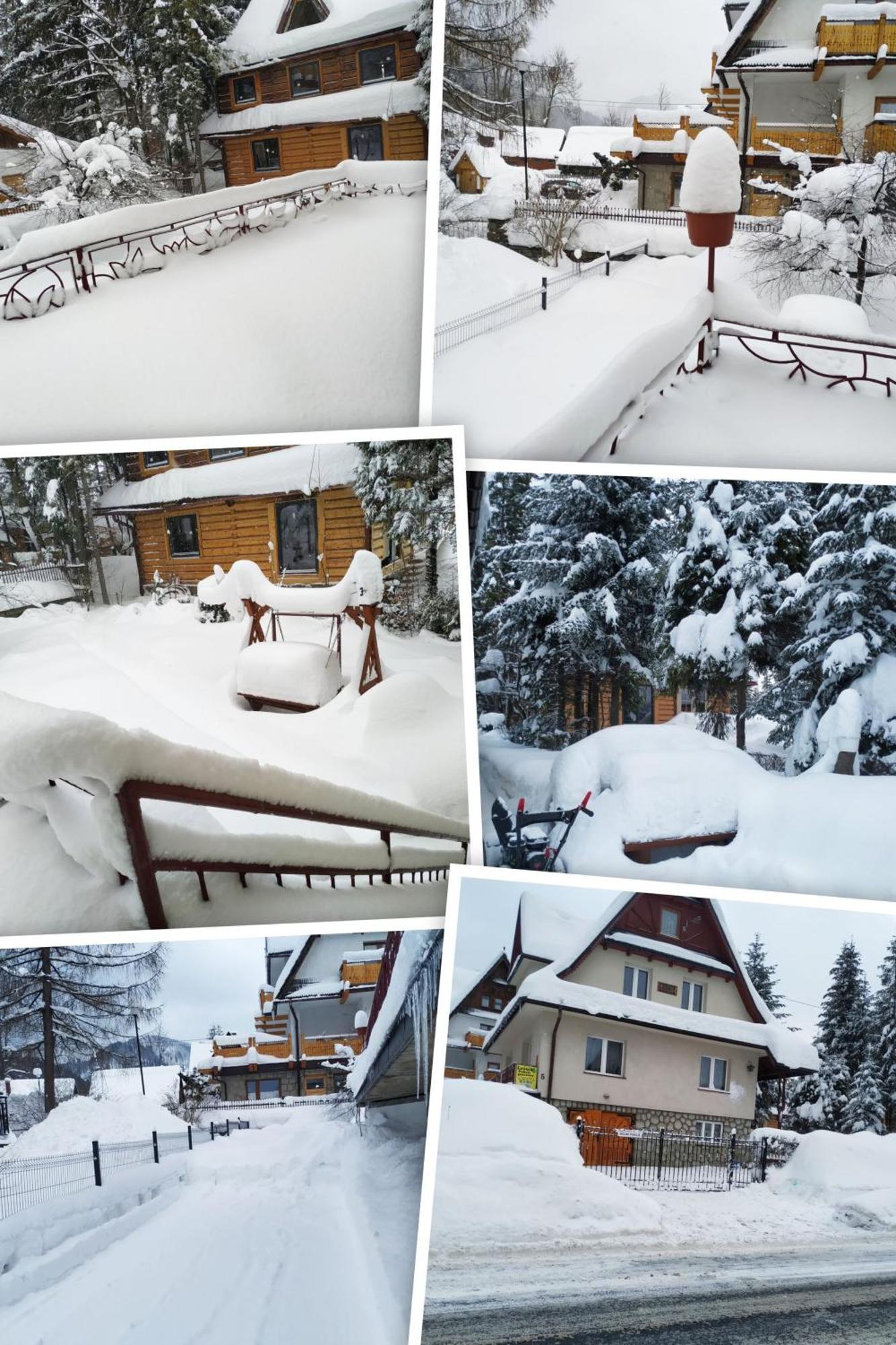 Homestay Dom Lesnik